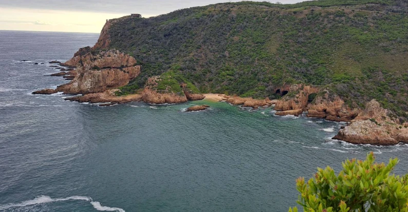 5 Day Best of South Africa Highlights: Garden Route with Addo National Park