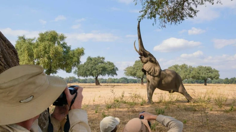 11 Days 10 Nights Kenya And Tanzania Private Safari